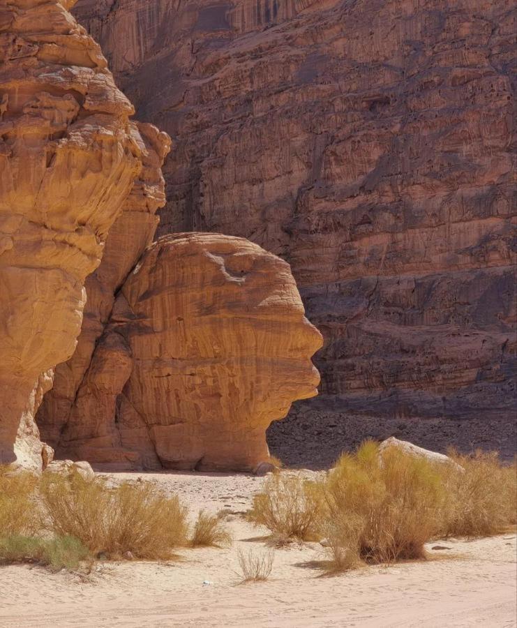 Star Rum Wadi Rum Eksteriør billede